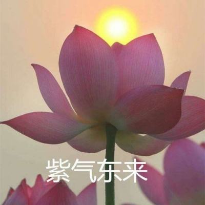 机器人冲突最新版下载